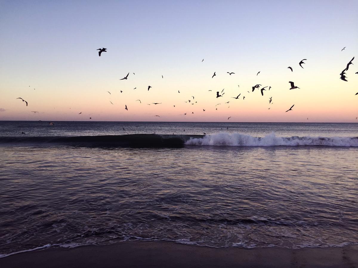 מלון Malibu פופויו מראה חיצוני תמונה